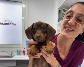 clinica veterinària a Premià de Mar valor compromis