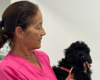 clinica veterinària a Premià de Mar valor professionalitat
